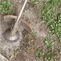 Trimmer Head Landscaping Sherem 2